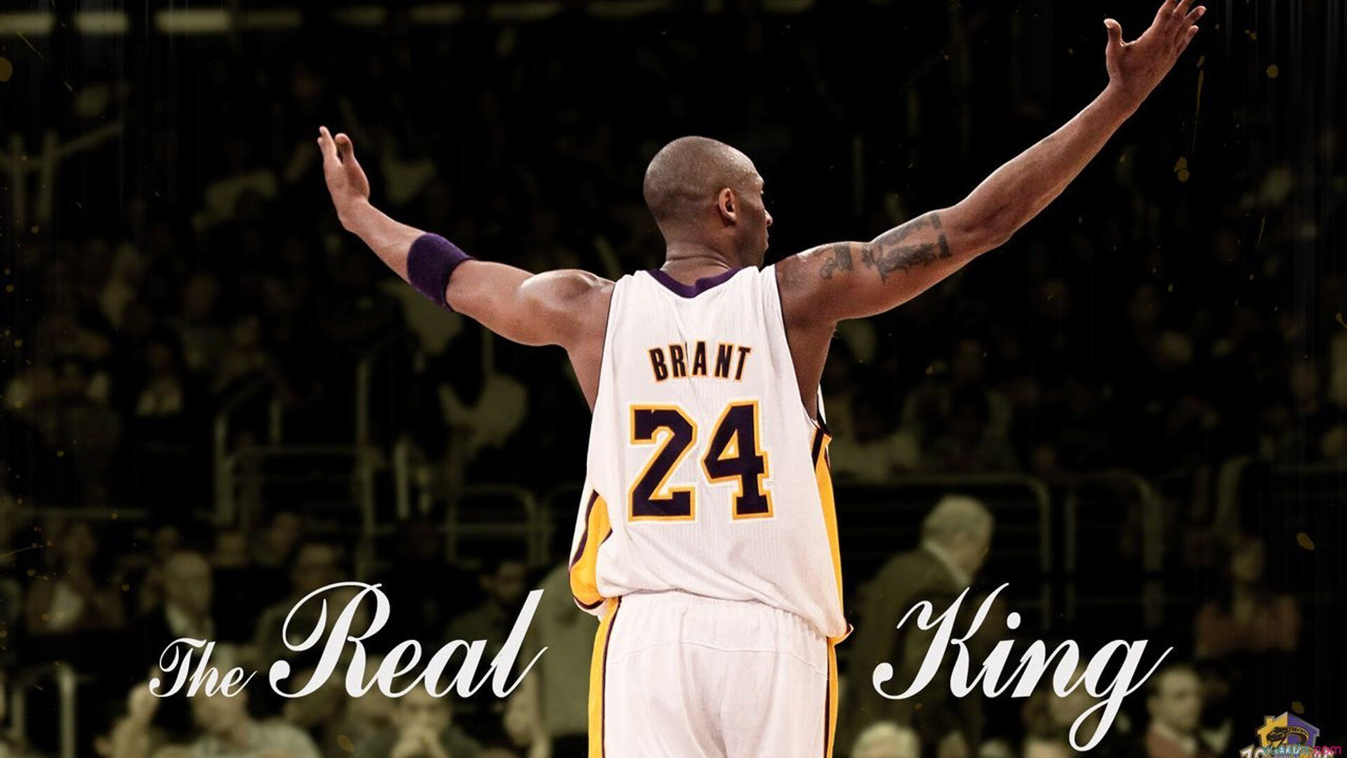 以篮球为核心的体育产业园区助力创新创业，推动行业蓬勃发展